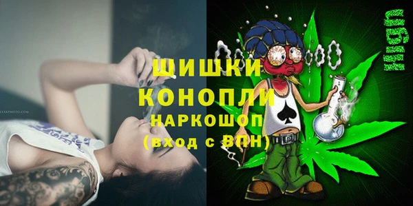 бошки Иннополис