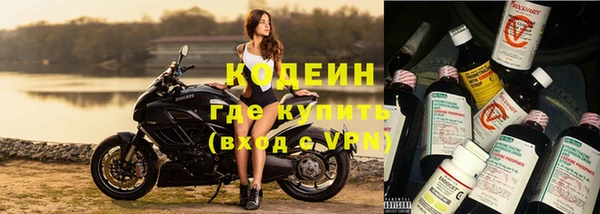 первитин Инсар