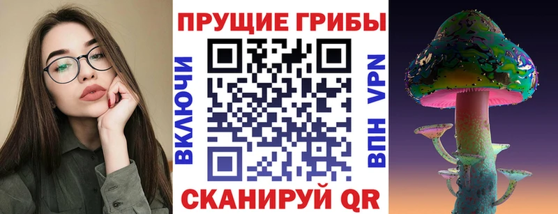 Галлюциногенные грибы ЛСД  Купить  Курлово 